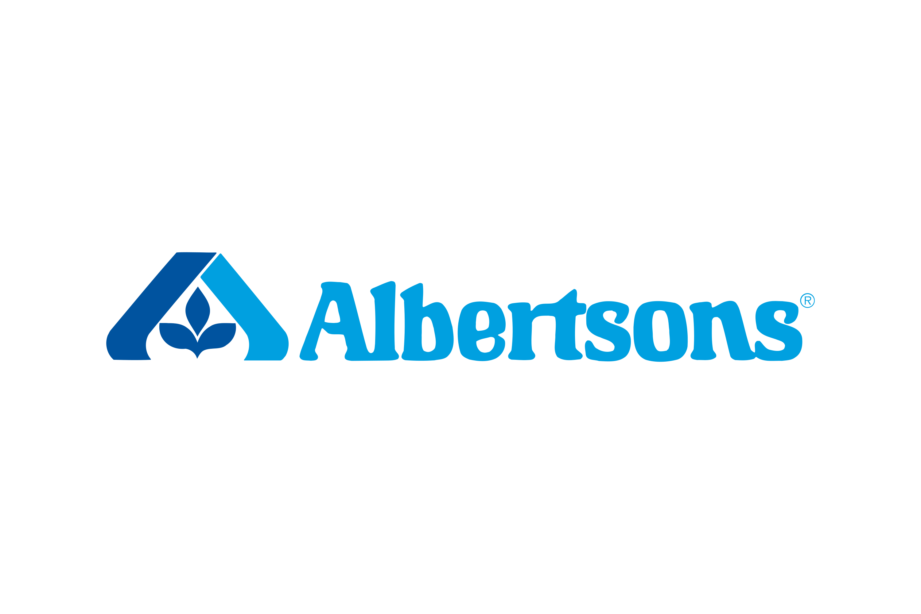 Albertsons Logo