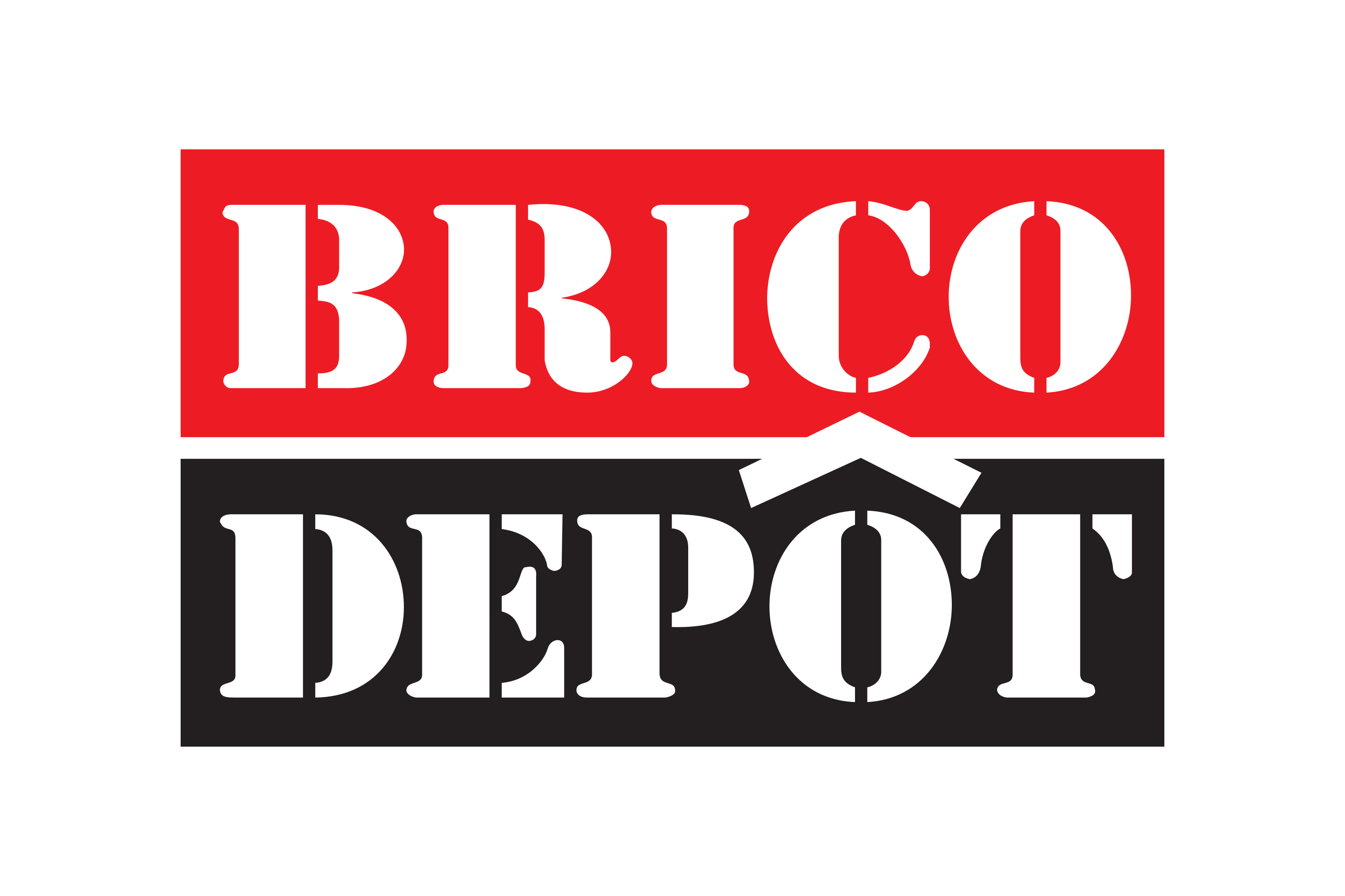 Brico Dépôt Logo