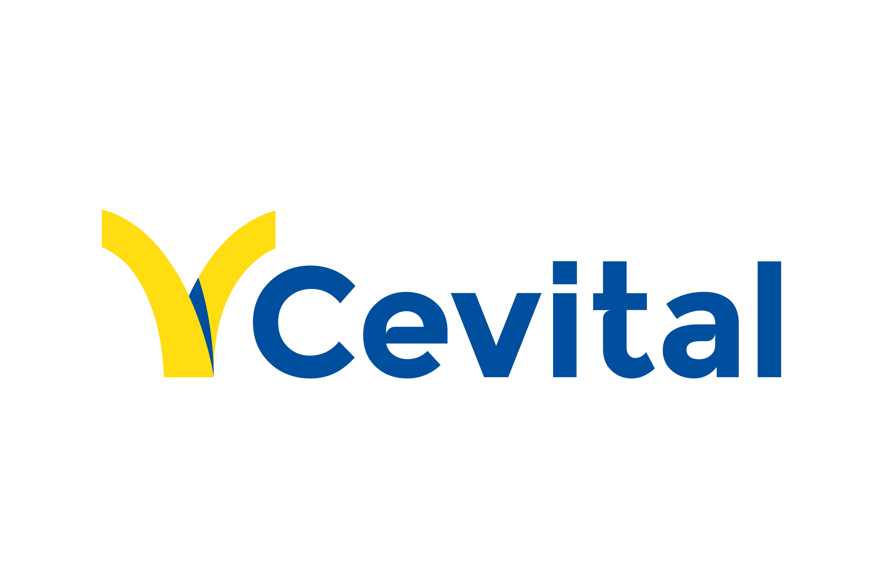 Cevital Logo