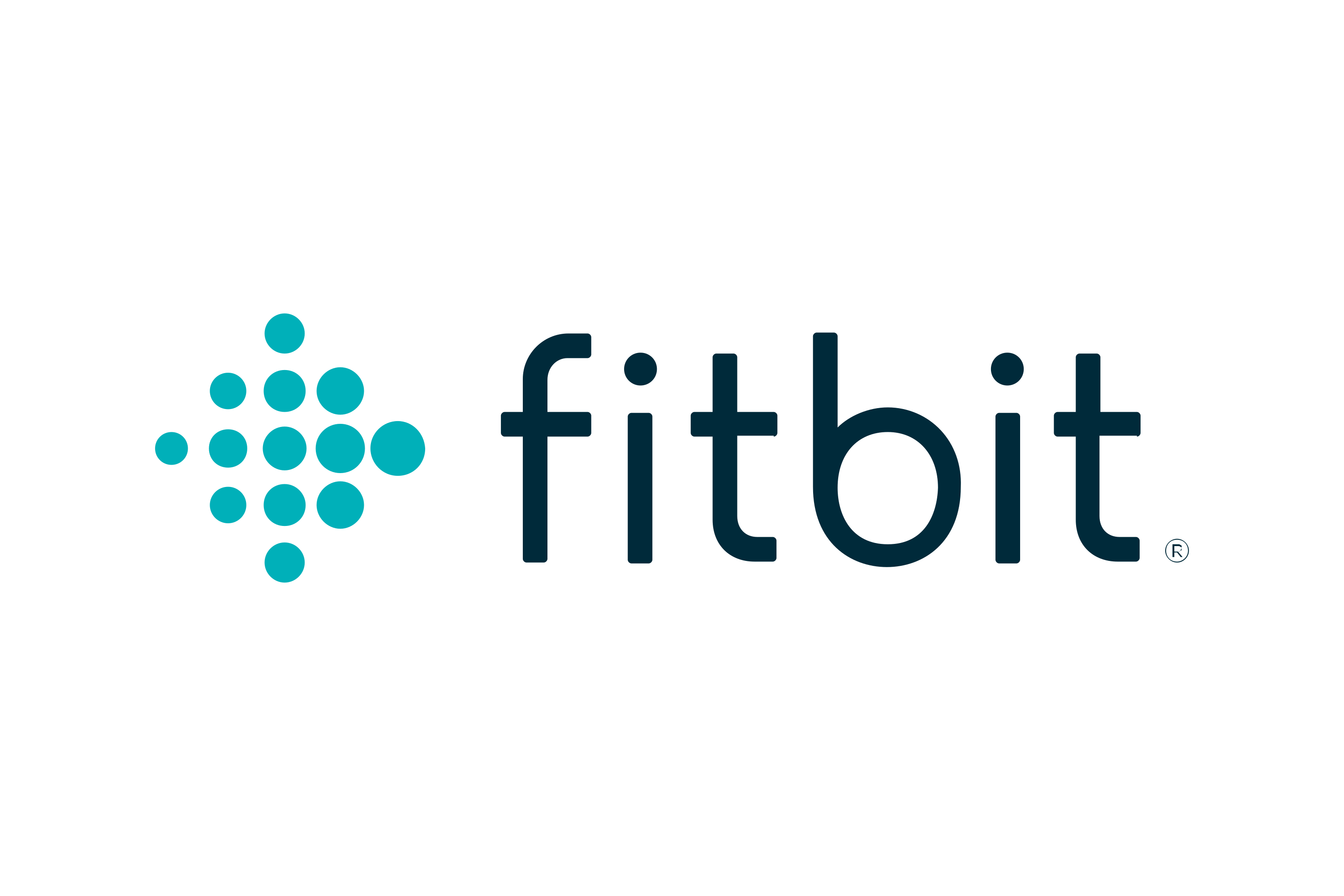 Fitbit Inc. Logo