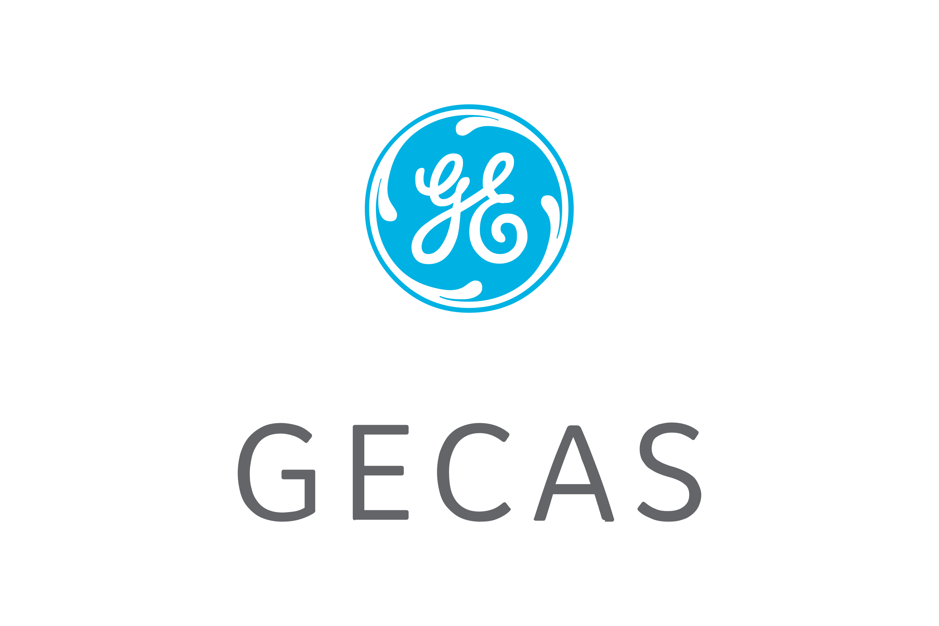 GE Capital Aviation Services Logo