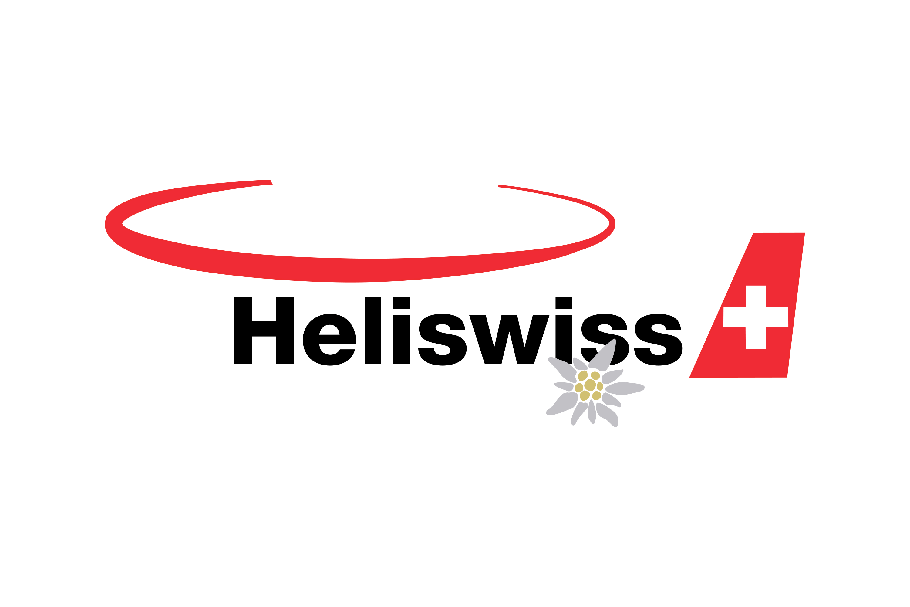 Heliswiss Logo