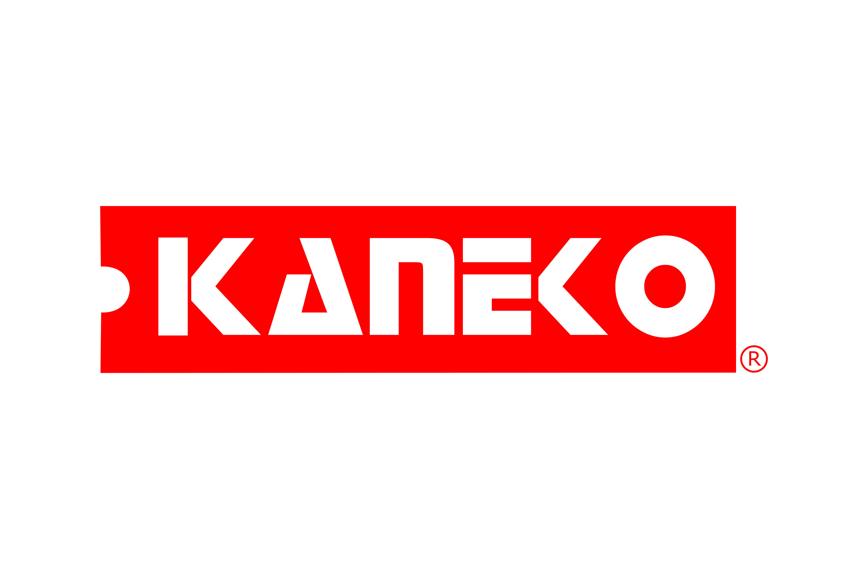 Kaneko Logo