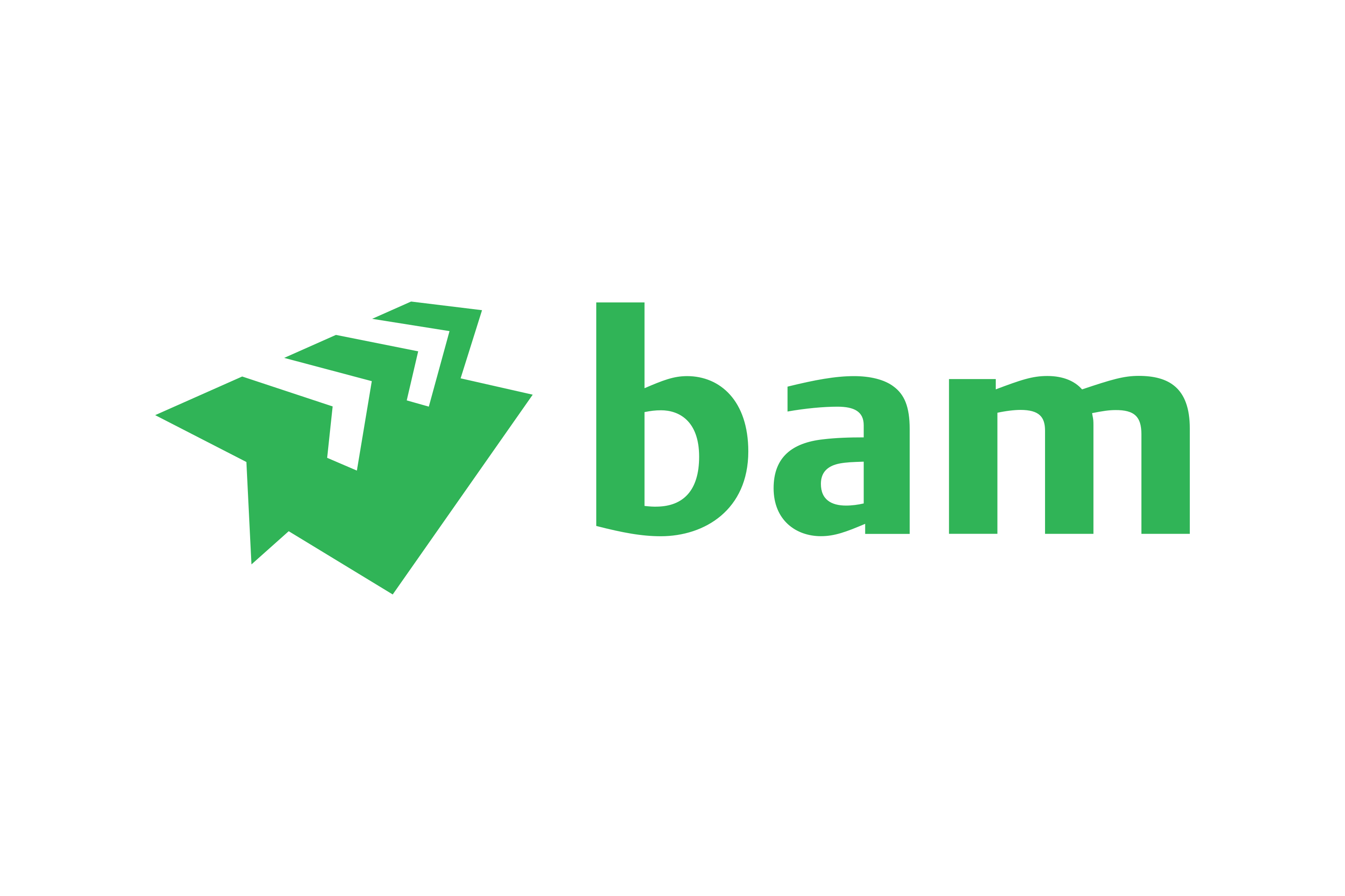 Royal BAM Group Logo
