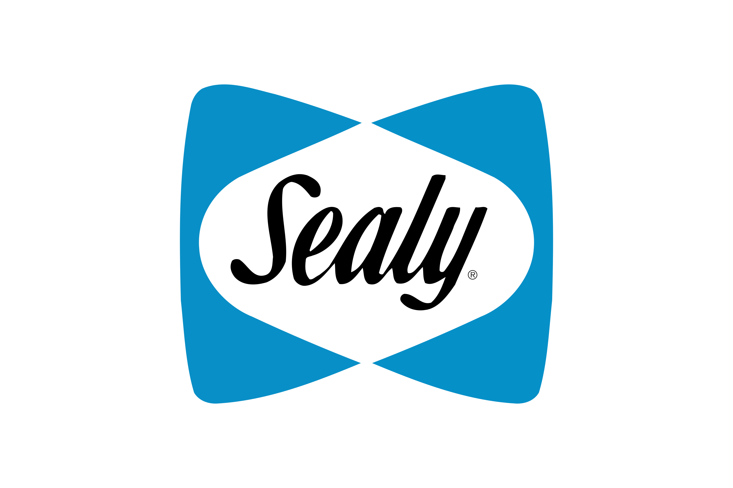 Sealy Corporation Logo 