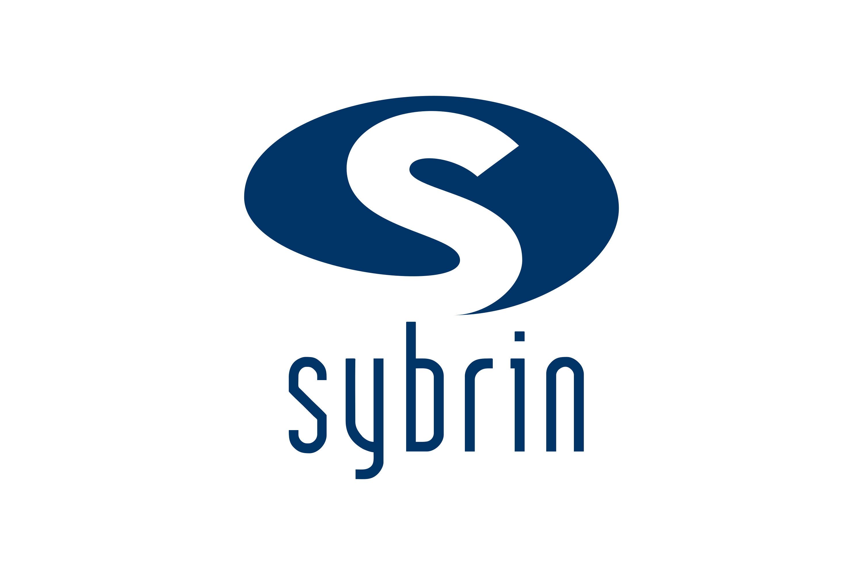 Sybrin Logo