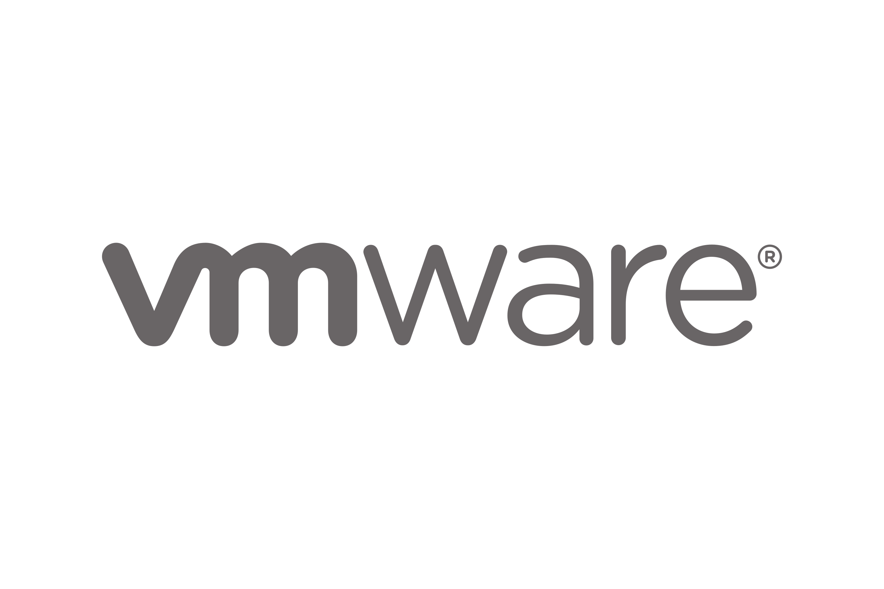 VMware Inc. Logo