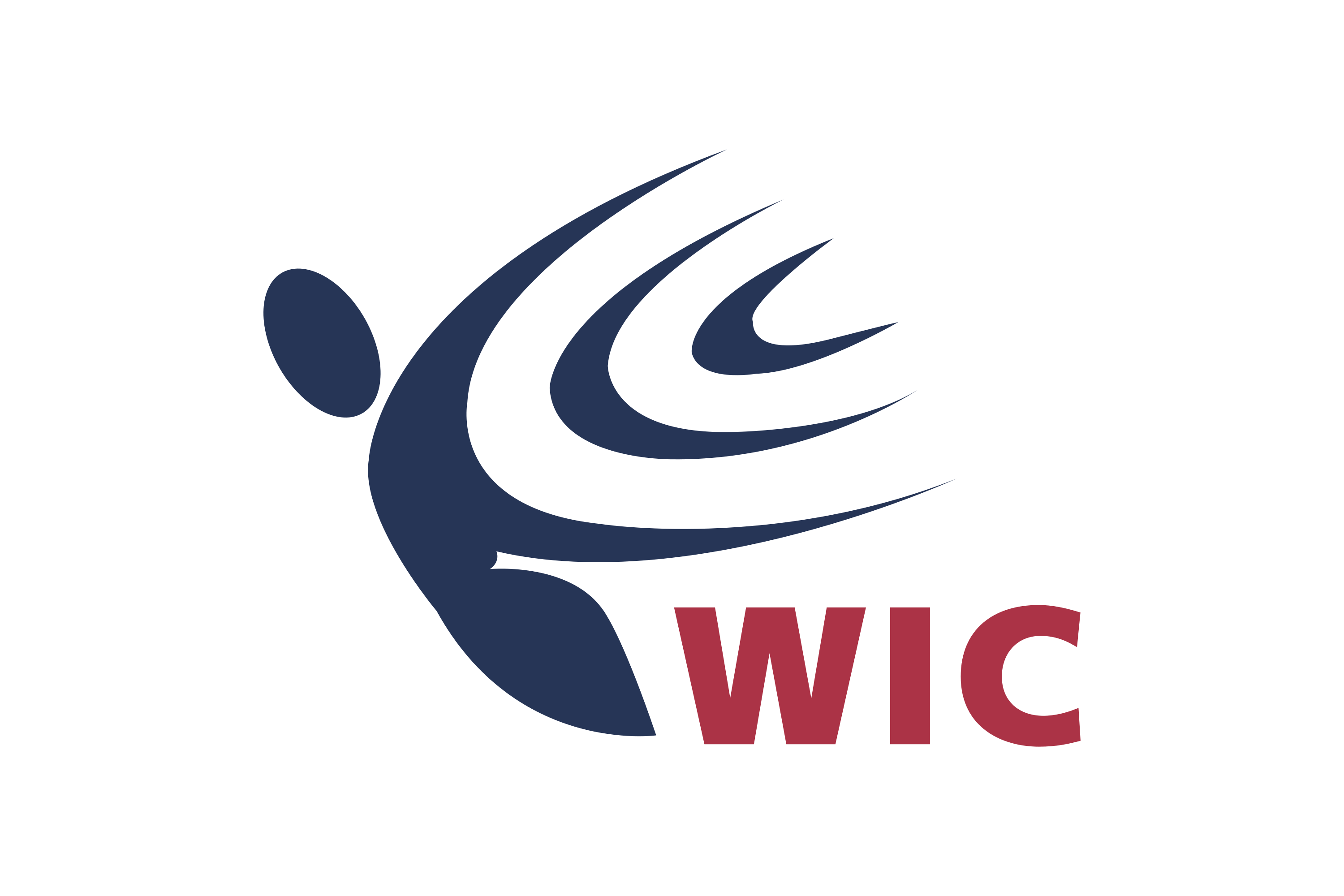 Western International Communications Logo
